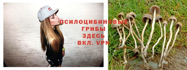 меф Каменка